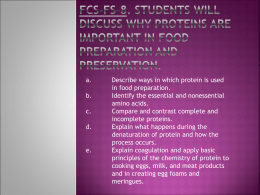 Importance of Proteins PowerPoint