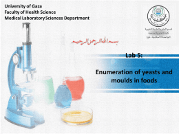 Enumeration of yeasts and moulds in foods