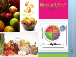 MyPlate replaces which of the following: