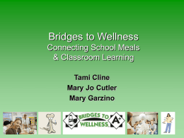 Bridges to Wellness