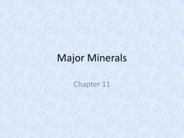Nutrition11_Minerals