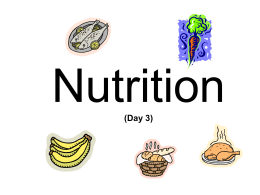 Nutrition (Day 3)