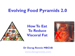 Evolving Food Pyramids 2.0