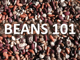 Dry Beans - Bean Institute