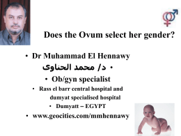 Does the Ovum select her gender?