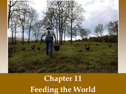 Ch 11 Feeding the world notes