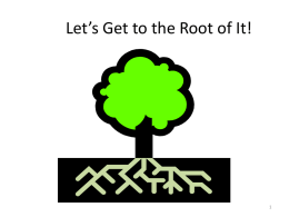 Let`s Get to the Root of It!