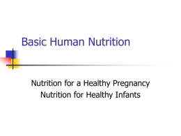 Basic Human Nutrition lecture pregnancy mine