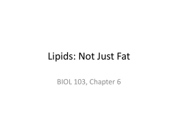 Lipids: Not Just Fat - Napa Valley College