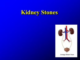Kidney_Stones
