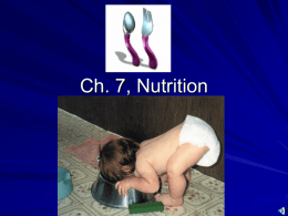 Ch. 7, Nutrition