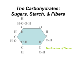 The Carbohydrates: Sugars, Starch, & Fibers