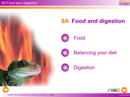 Food and Digestion ppt File - Watford Grammar School for Boys