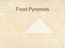 Food Pyramids