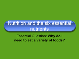 Six essential nutrient ppt