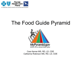 “typical” american portions food guide pyramid servings