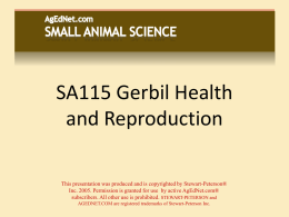 SA115 Gerbil Health and Reproduction