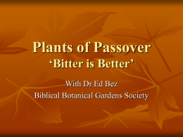 BBGS Plants of Passover