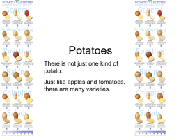 Potatoes - Keswick Food