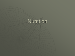 Nutrition - WordPress.com