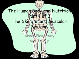 The Human Body Part 1 of 3