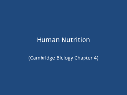 Human Nutrition - mcdowellscience