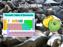 Minerals and Vitaminsx