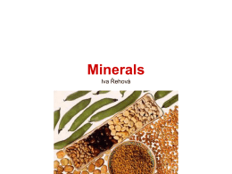 Minerals Iva Řehová