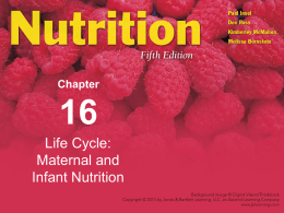 Chapter 12: Life Cycle: Maternal and Infant Nutrition