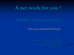 A Network For You - Sasnet