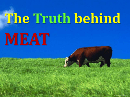 The Truth Behind Meat