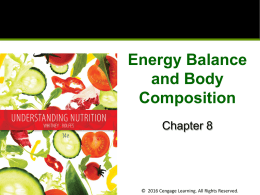 Energy Balance Chapter 08x