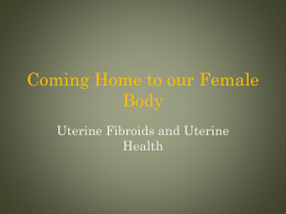 What are Uterine Fibroids?