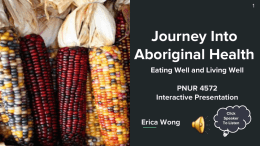 Journey Into Aboriginal Health