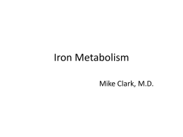 Iron Metabolism - William M. Clark, M.D