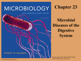 Bacterial Diseases of the Digestive System Peptic Ulcers