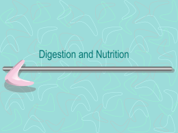 D- Digestion and Nutrition