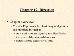 Chapter 1: Animal Agriculture