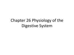 Chapter 26 Physiology of the Digestive System