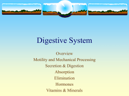 Digestive System - Monona Grove School District