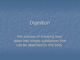 Digestion - Tomball FFA