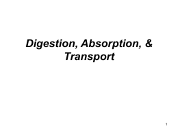 Digestion, Absorption, & Transport
