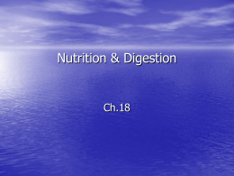 Nutrition & Digestion - Regional School District 17