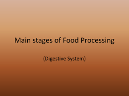 Main stages of Food Processing