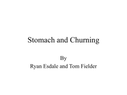 Stomach and Churning - Home @ The Esdale family web site