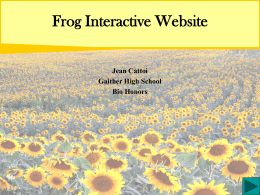 Frog Interactive Website - Hillsborough Community College