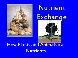 Nutrient Exchange