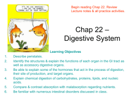 Chap 22 – Digestive System