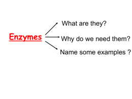 Enzymes what are they - Laurel County Schools
