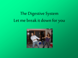 digestion power point notes good one 2012